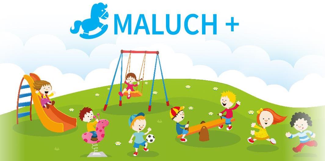 Transparent Projekt Maluch+ 2020